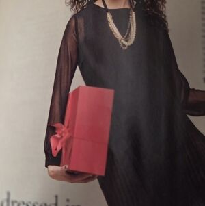 Sheer Black Pleated Dress